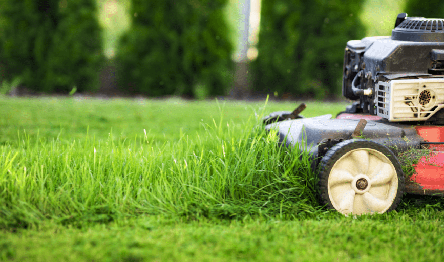 LAWN CARE